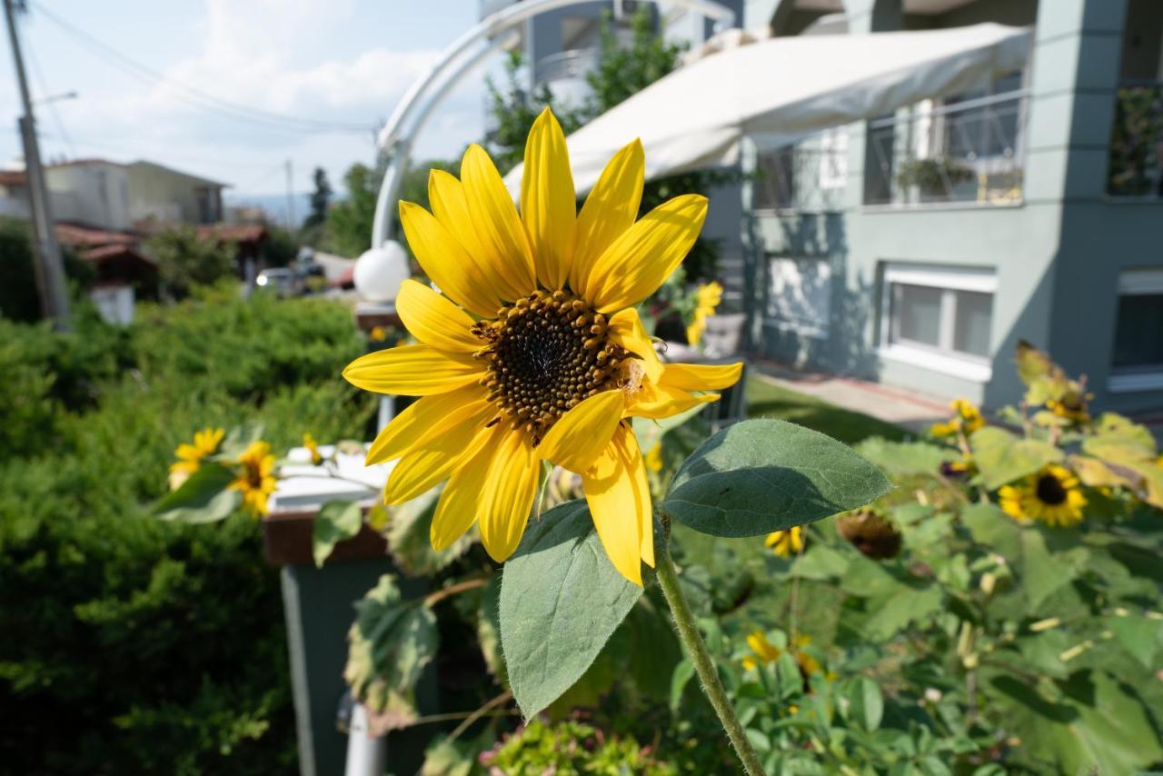 Appartamento Apollon House Volos Esterno foto